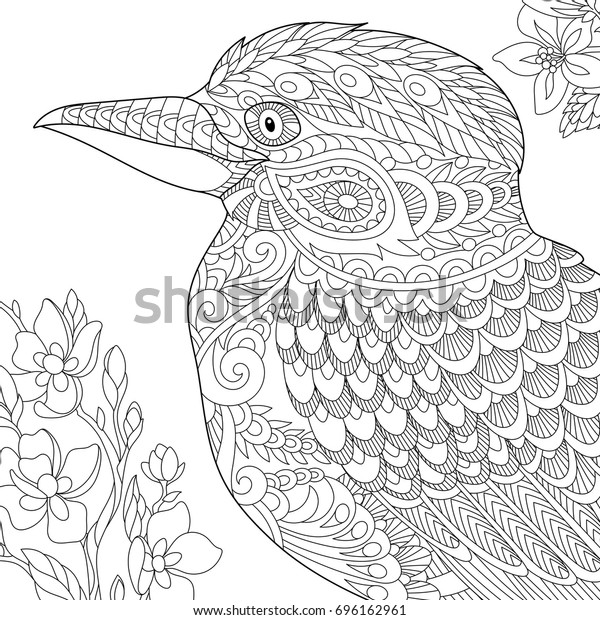 Coloring page of australian kookaburra bird.\
Freehand sketch drawing for adult antistress coloring book in\
zentangle style.