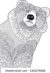 coloring page bear        