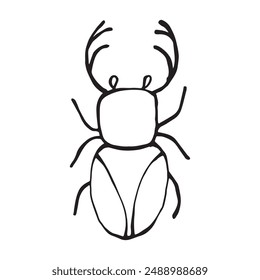 Dibujo de un escarabajo. Icono de Vector de contorno de insecto. Dibujado a mano estilo doodle, línea negra aislada en blanco.