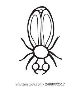 Coloring page of a beetle. Insect outline vector, icon. Hand drawn doodle style, Isolated black line on white.