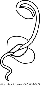 Dibujo para colorear con brote de abedul creciendo de semilla con sistema de raíces aislado sobre fondo blanco	
