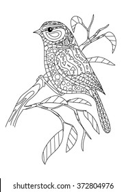 Coloring Page - Bird