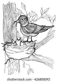 Coloring page with bird and chicks in the nest