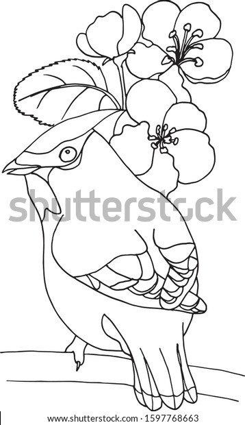 Download Coloring Page Bird Flower Stock Vector Royalty Free 1597768663