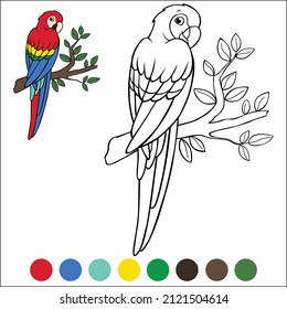 Coloring page birds. Cute happy parrot red macaw sits on the branch and smiles.