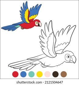 Coloring page birds. Cute happy parrot red macaw flies and smiles.