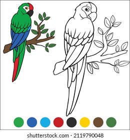 Coloring page birds. Cute parrot green macaw sits on the tree branch and smiles.