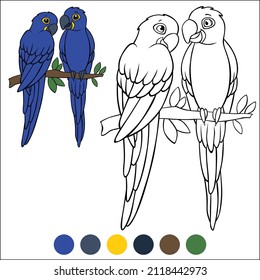 Coloring page birds. A pair of cute parrots blue macaw sits and smiles on the tree branch.