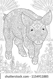 Coloring Page. Coloring Book. Colouring picture with Pig. Cute Piggy - 2019 Chinese New Year symbol. Antistress freehand sketch drawing with doodle and zentangle elements.