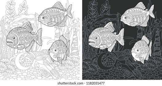 Coloring Page. Coloring Book. Colouring picture with Piranha Fish drawn in zentangle style. Antistress freehand sketch drawing. Vector illustration.