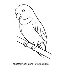 Budgie svg