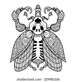 Coloring page of Bug with skull, zentangle illustartion tribal totem insect for adult Coloring books or tattoos with high details isolated on background. Vector monochrome sketch.