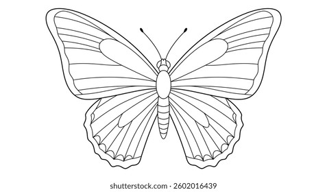 Coloring Page of a Butterfly With Bold Stripes on Its Wings