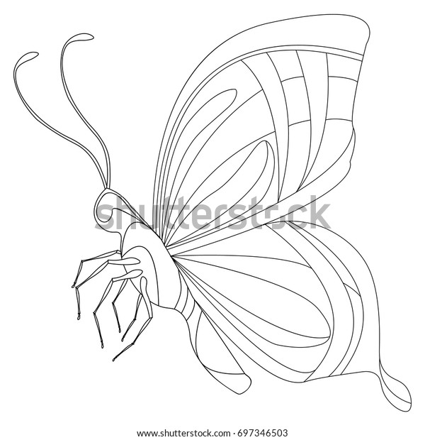 46 Butterfly Coloring Pages Outline , Free HD Download