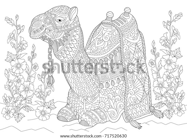 Coloring Page Camel Sitting Among Mallow Stock Vector (Royalty Free