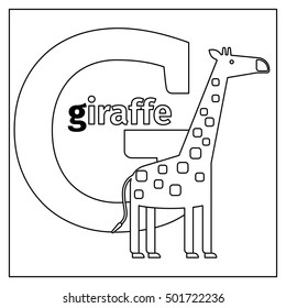 Coloring page or card for kids with English animals zoo alphabet. Giraffe, letter G vector illustration