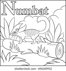 Coloring page. Cartoon animals alphabet. N is for Numbat.