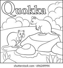 Coloring page. Cartoon animals alphabet. Q is for Quokka.