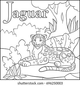 Coloring page. Cartoon animals alphabet. J is for Jaguar.
