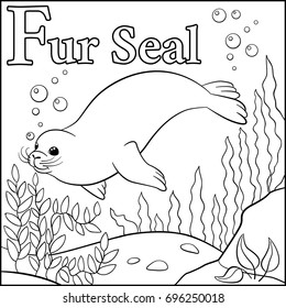 Coloring page. Cartoon animals alphabet. F is for Fur Seal.