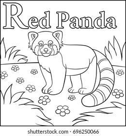 Coloring page. Cartoon animals alphabet. R is for Red Panda.