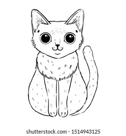 Coloring page with cartoon fluffy cat with roses. Siamese cat with open eyes. Coloring book for adults and children.