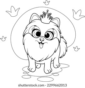 Coloring page. Cartoon and funny dog, little princess, pomeranian spitz with crown