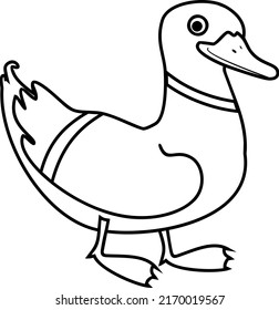 Coloring Page Cartoon Male Mallard Anas Stock Vector (Royalty Free ...