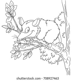 Coloring page of cartoon opossum animal. Coloring book design for kids and children.