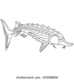 Coloring page of cartoon sturgeon fish. Coloring book design for kids and children.