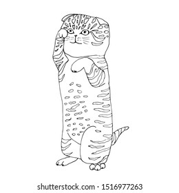 Coloring page cat ready-made illustrations of books, cards, posters, design,
Hand-drawn. Cartoon style. Doodle Vector