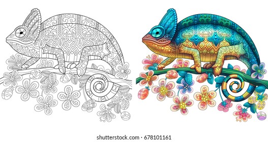 Coloring page of chameleon lizard. Colorless and color samples for book cover. Freehand sketch drawing for adult antistress colouring with doodle and zentangle elements.