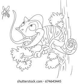 chameleon coloring book pages