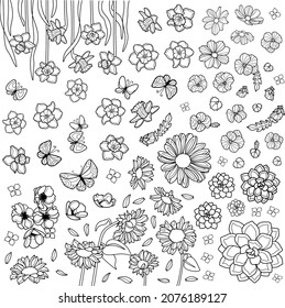 Coloring page for children and adults. Big flower set