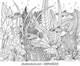 Coloring page for children and adults. Fabulous underwater world.