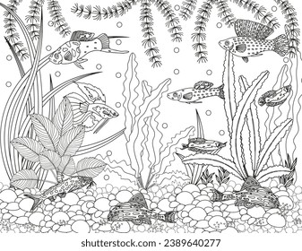 Coloring page for children and adults. Fabulous underwater world.