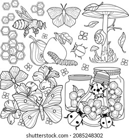 Coloring page for children and adults. Insects in nature