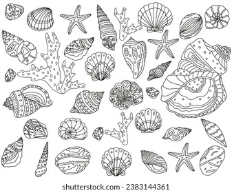 Coloring page for children and adults. Seashells of different shapes and floral elements.