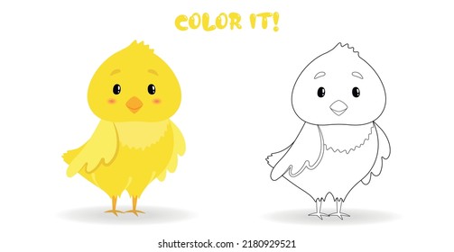 Coloring page for children. Color it. Little cute chicken vector illustration