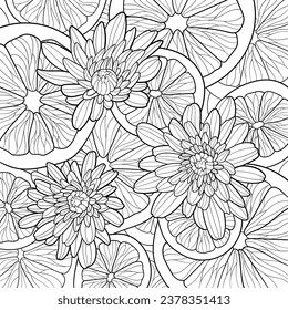 Coloring page, citrus fruits with chrysanthemums flowers top view. Lemon, grapefruit, juicing oranges, tangerines, vitamin C. Printable picture to color