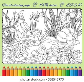coloring page of close-up view of snail crawling through  grass