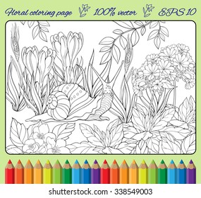 coloring page of close-up view of snail crawling through  grass 2