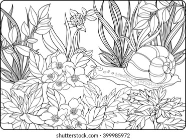 coloring page of close-up view of snail crawling through  grass