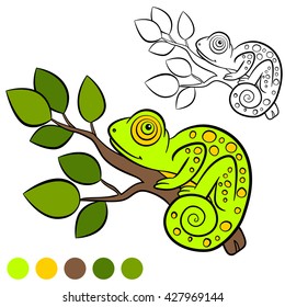 Coloring page. Color me: chameleon. Little cute green chameleon sits on the tree branch and smiles.