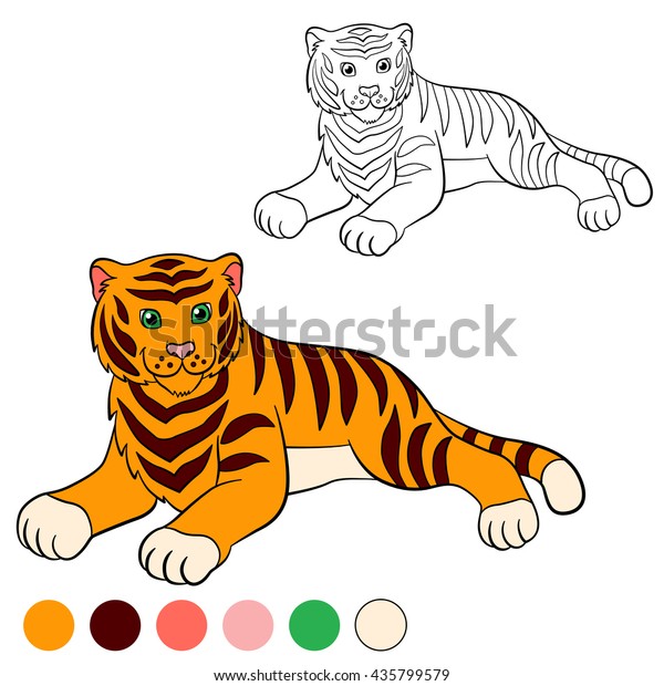 カラーリングページ 色分け 虎 可愛い虎は横たわって笑う のベクター画像素材 ロイヤリティフリー