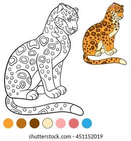 Coloring page with colors. Cute jaguar sits and smiles.