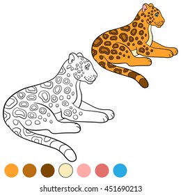Coloring page with colors. Cute jaguar lays and smiles.
