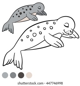 Coloring page with colors. Little cute spotted baby seal sleeps.