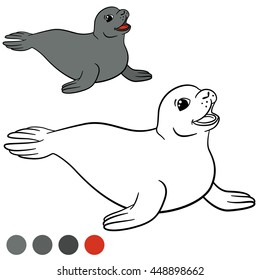 Coloring page with colors. Little cute gray seal smiles.