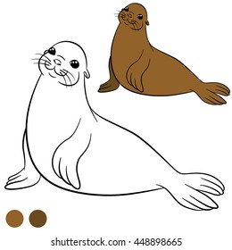 Coloring page with colors. Little cute brown fur seal smiles.